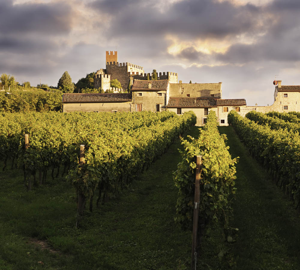 region de producción de vino en Italia Colinas de Conegliano y Valdobbiadene