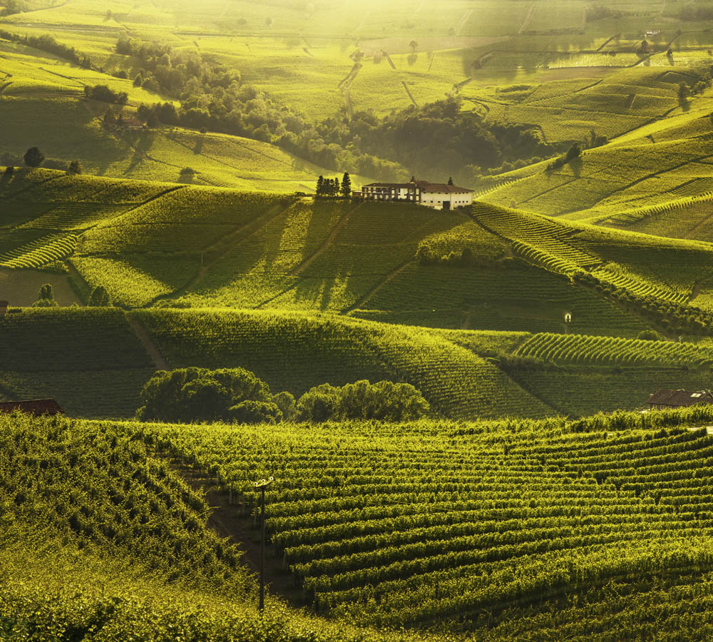region de producción de vino en italia Langhe y Monferrato
