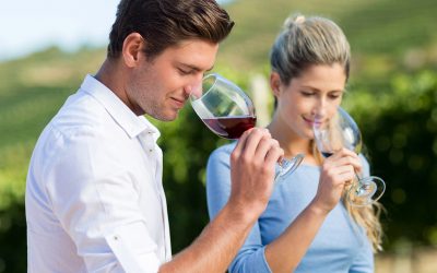 La relación del olfato con el vino